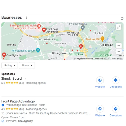 Google Local Search Results